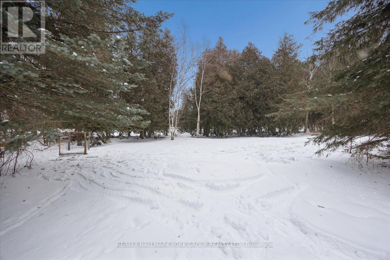 21 Pirita Road, Georgina, Ontario  L0C 1L0 - Photo 36 - N12732932