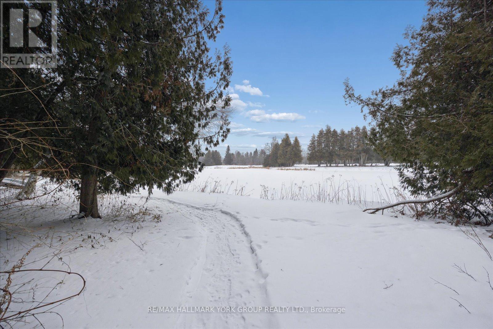 21 Pirita Road, Georgina, Ontario  L0C 1L0 - Photo 37 - N12732932