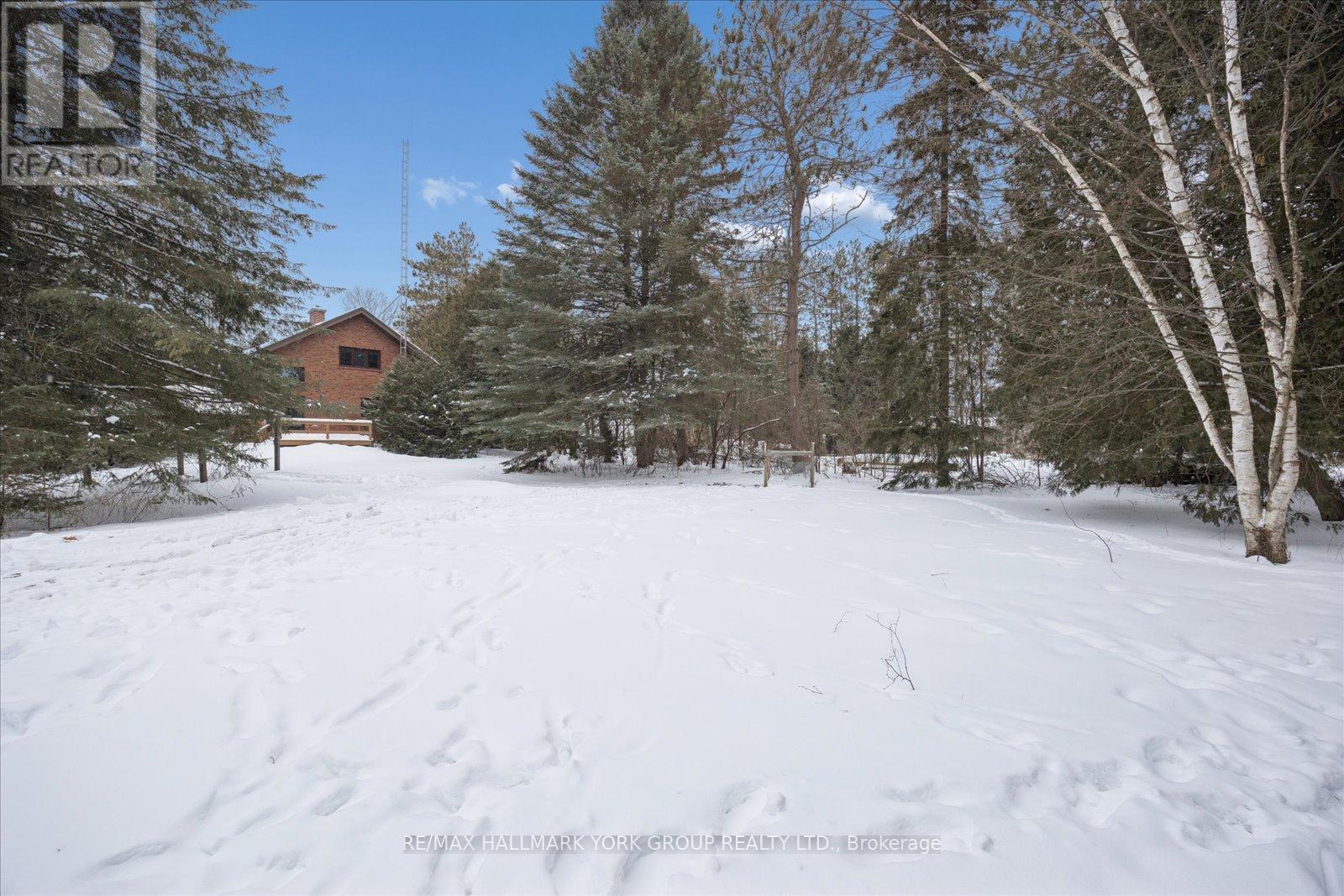 21 Pirita Road, Georgina, Ontario  L0C 1L0 - Photo 41 - N12732932