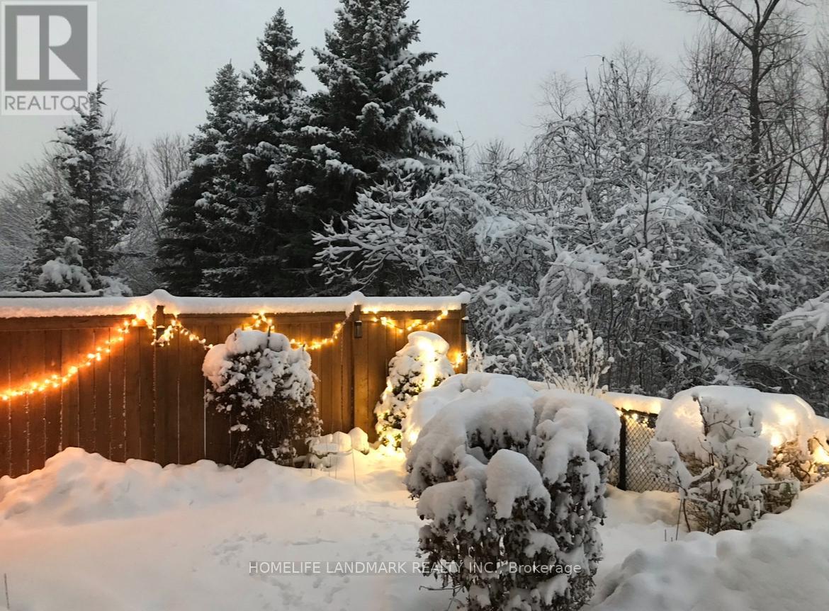 156 Pressed Brick Drive, Brampton, Ontario  L6V 4K6 - Photo 39 - W12732888