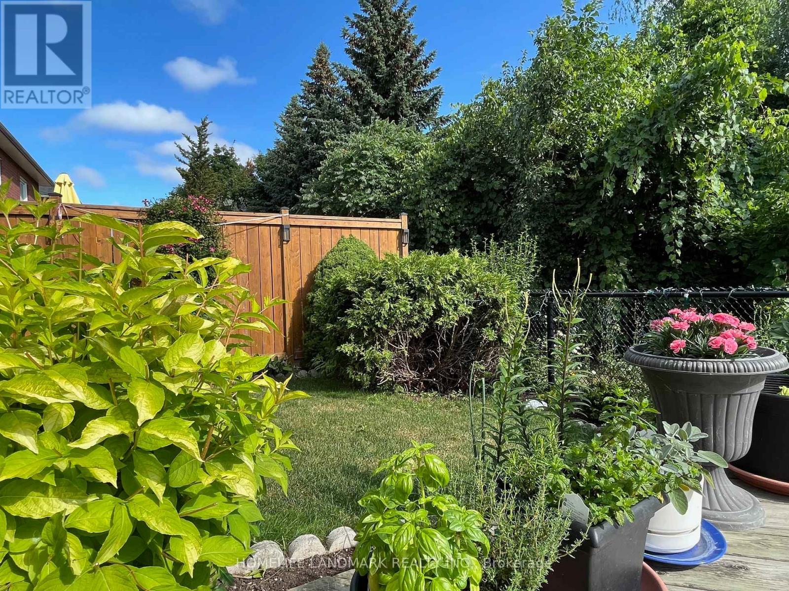 156 Pressed Brick Drive, Brampton, Ontario  L6V 4K6 - Photo 48 - W12732888