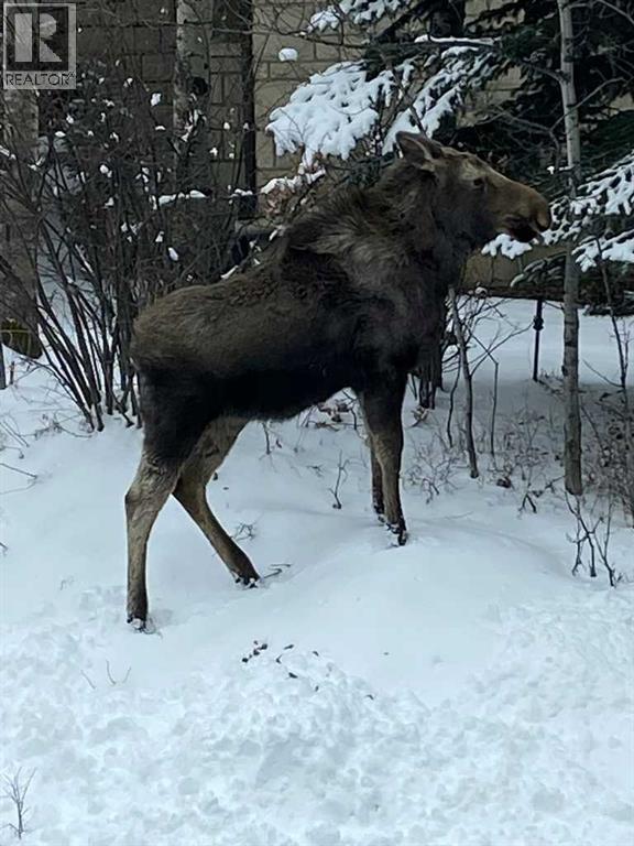 25 Posthill Drive Sw, Calgary, Alberta  T3H 0A8 - Photo 50 - A2281353