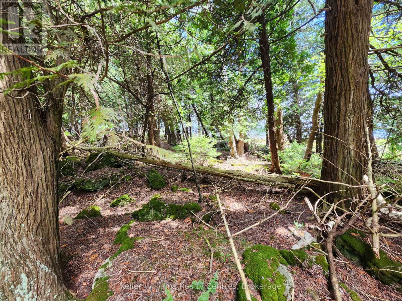 23 Rabbit, South Bruce Peninsula, Ontario  N0H 2T0 - Photo 27 - X12733048