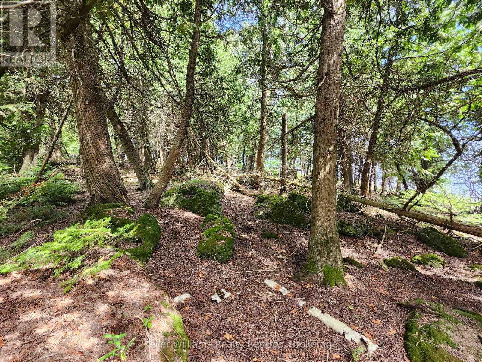 23 Rabbit, South Bruce Peninsula, Ontario  N0H 2T0 - Photo 28 - X12733048