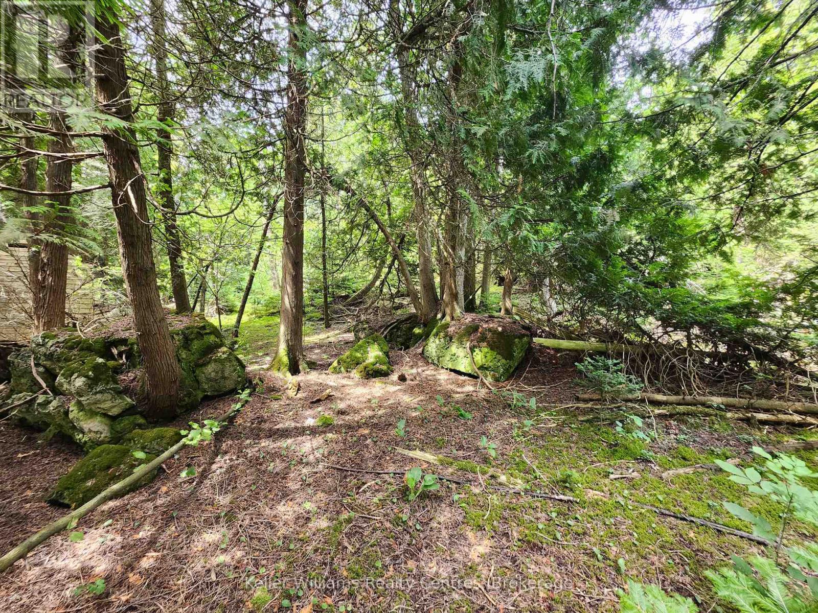 23 Rabbit, South Bruce Peninsula, Ontario  N0H 2T0 - Photo 29 - X12733048