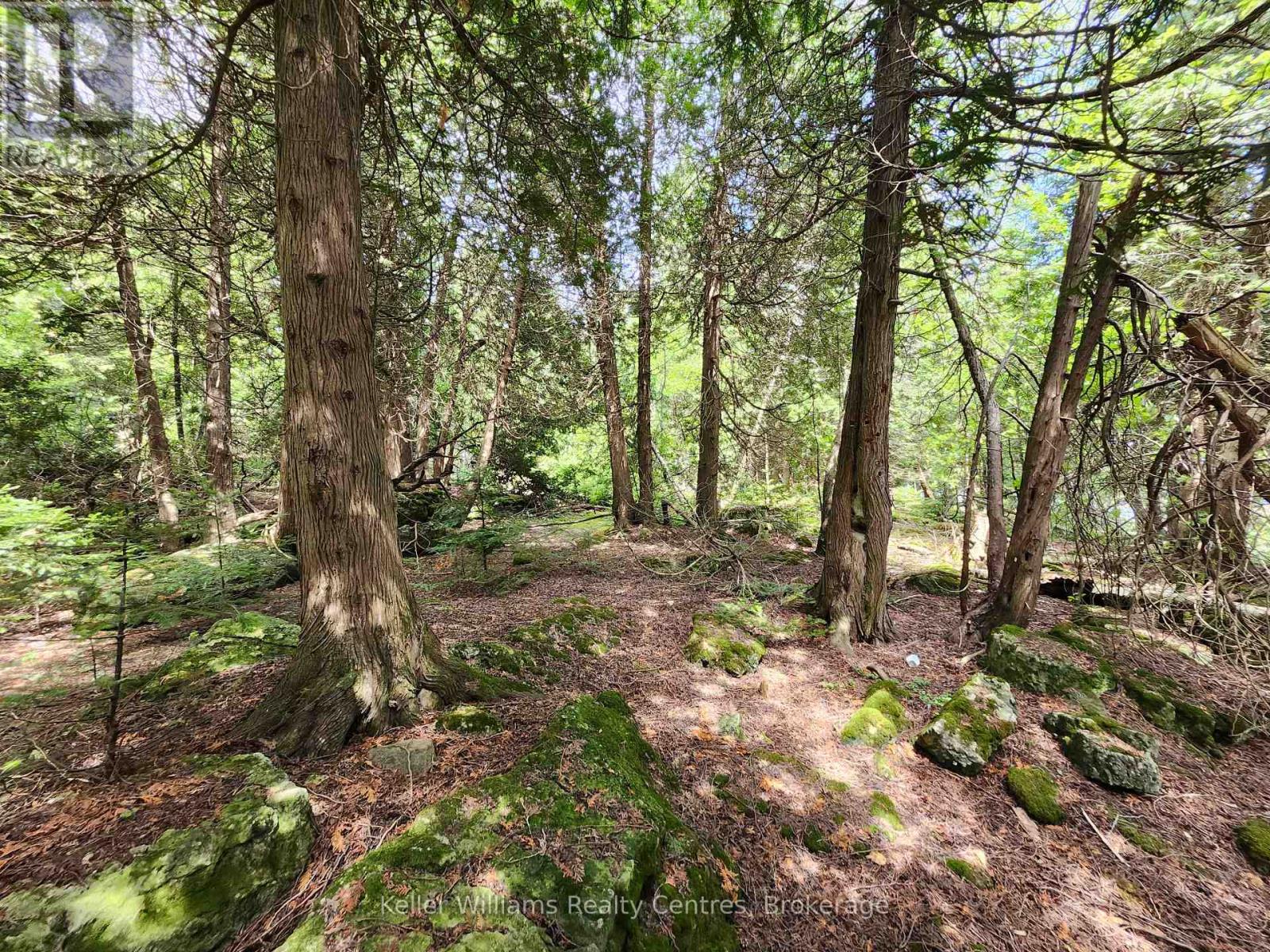 23 Rabbit, South Bruce Peninsula, Ontario  N0H 2T0 - Photo 30 - X12733048