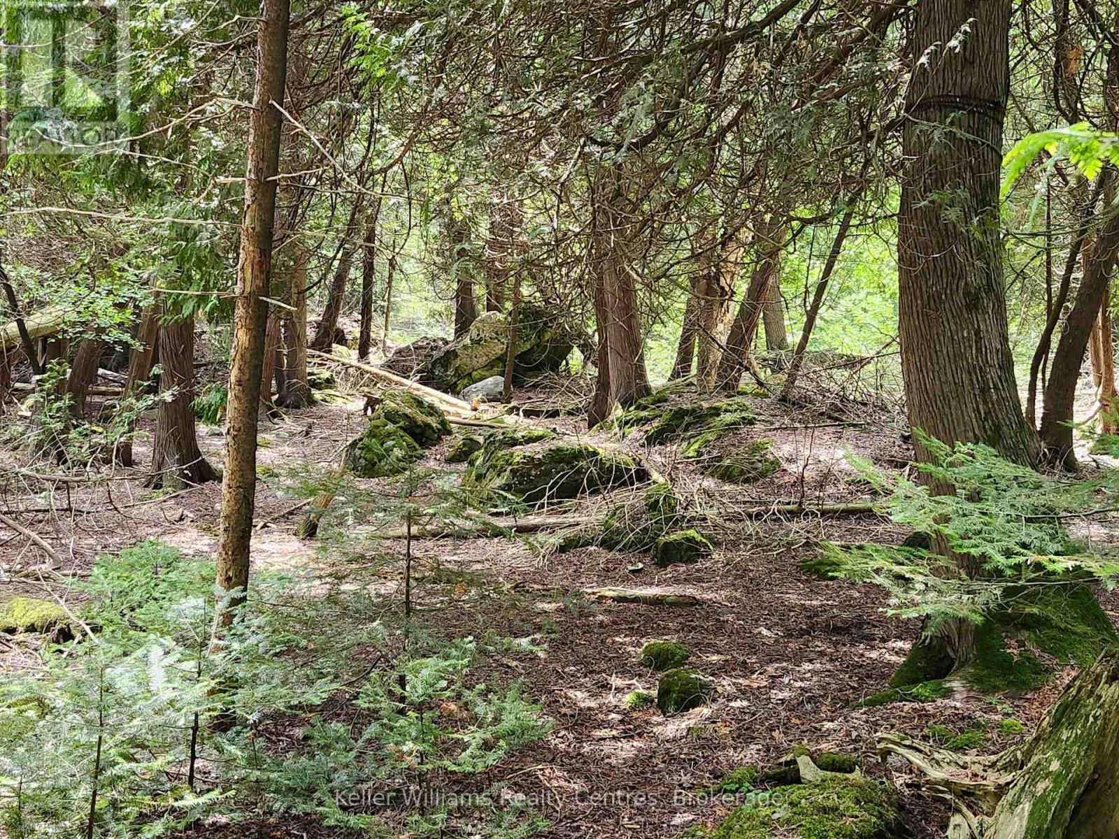 23 Rabbit, South Bruce Peninsula, Ontario  N0H 2T0 - Photo 31 - X12733048