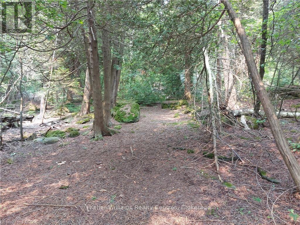 23 Rabbit, South Bruce Peninsula, Ontario  N0H 2T0 - Photo 36 - X12733048