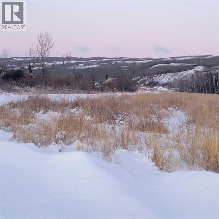 70 Ave 98 Street, Peace River, Alberta  T8S 1E3 - Photo 4 - A2274640