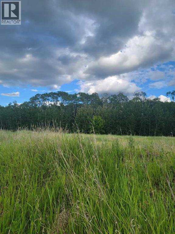 70 Ave 98 Street, Peace River, Alberta  T8S 1E3 - Photo 7 - A2274640