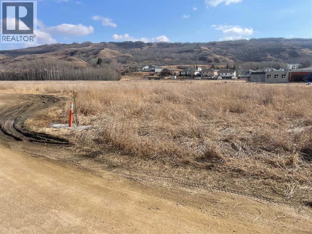 70 Ave 98 Street, Peace River, Alberta  T8S 1E3 - Photo 9 - A2274640