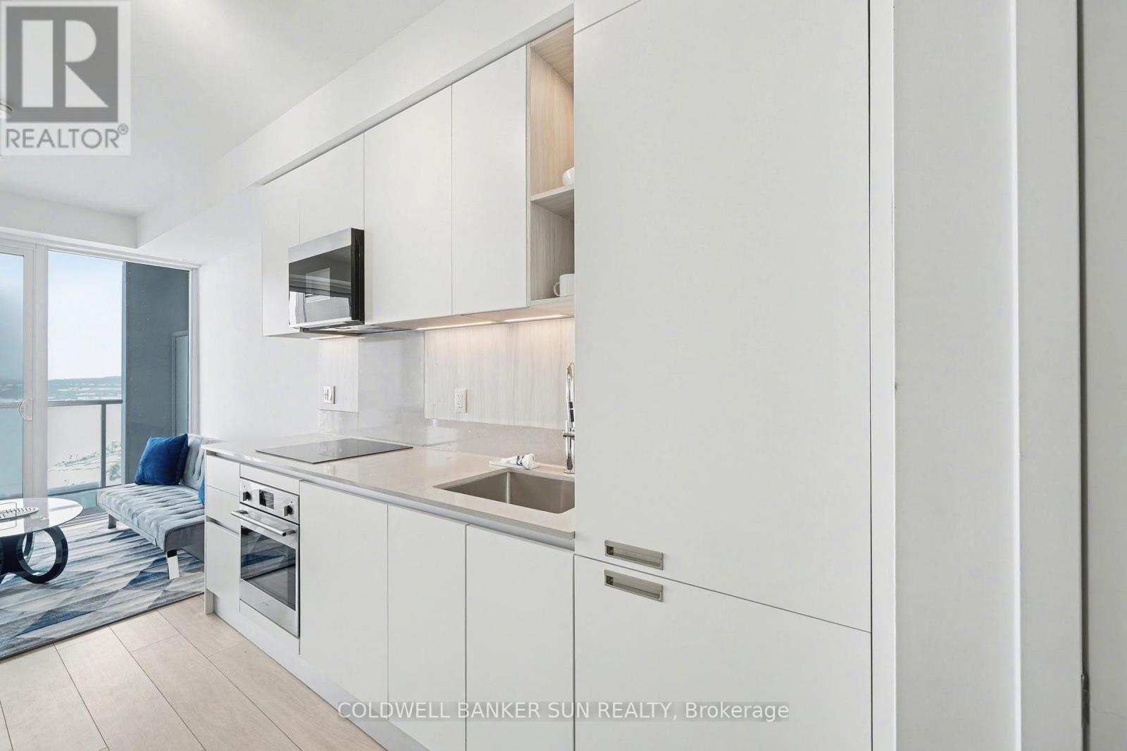 2009 - 39 Mary Street, Barrie, Ontario  L4N 1S9 - Photo 13 - S12733108