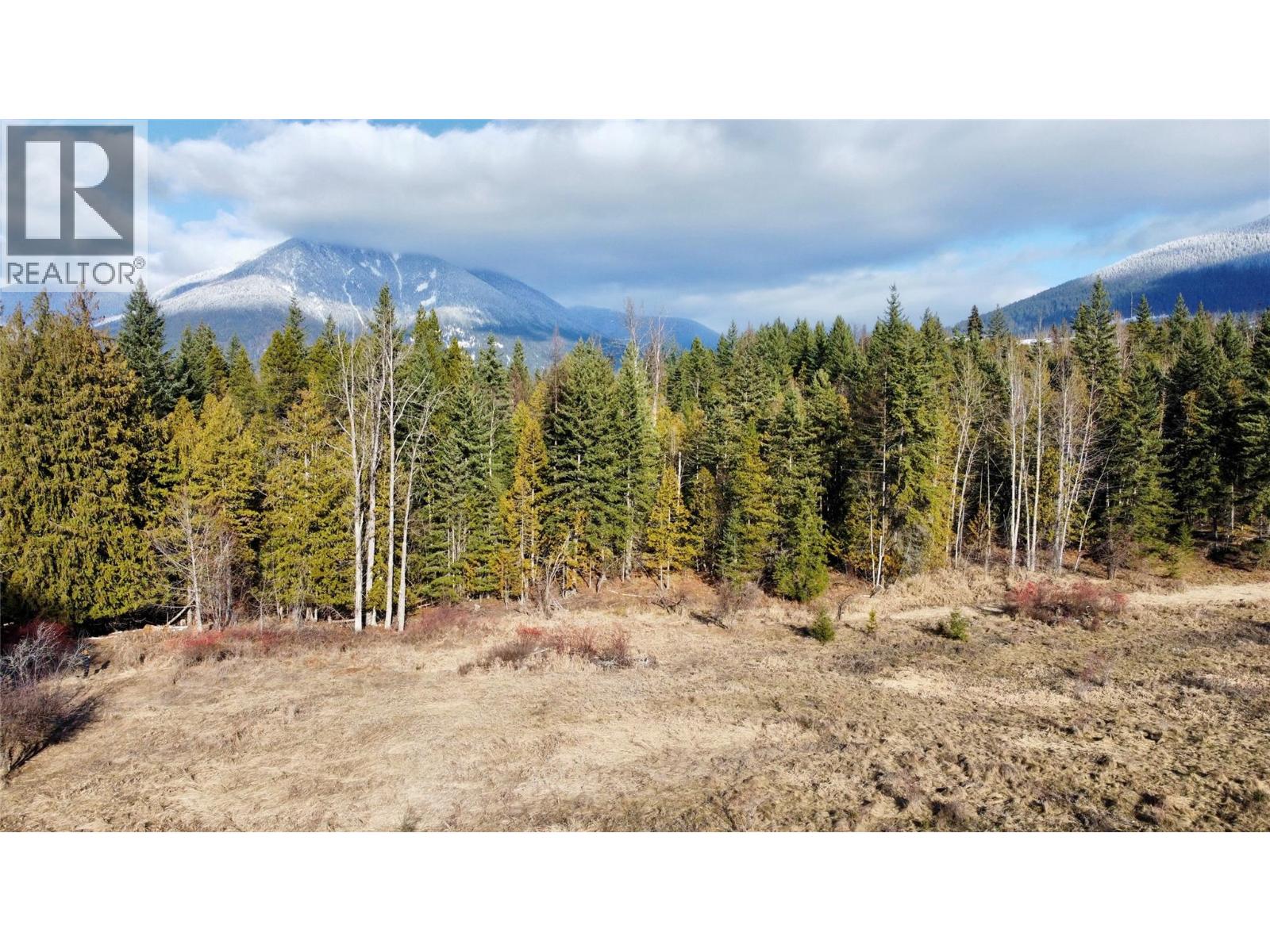 319 Nakusp East Road, Nakusp, British Columbia  V0G 1R1 - Photo 23 - 10373110