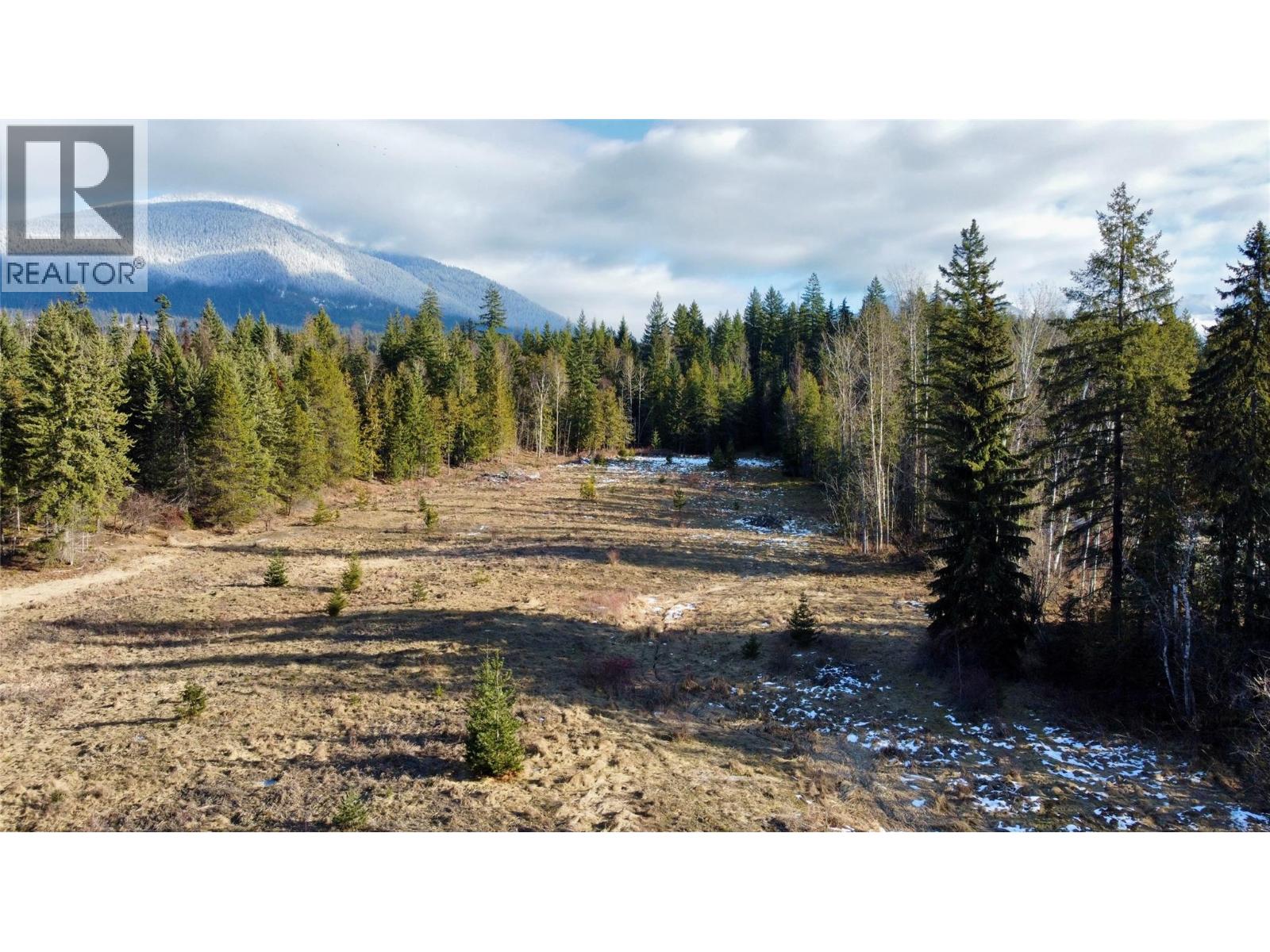 319 Nakusp East Road, Nakusp, British Columbia  V0G 1R1 - Photo 25 - 10373110