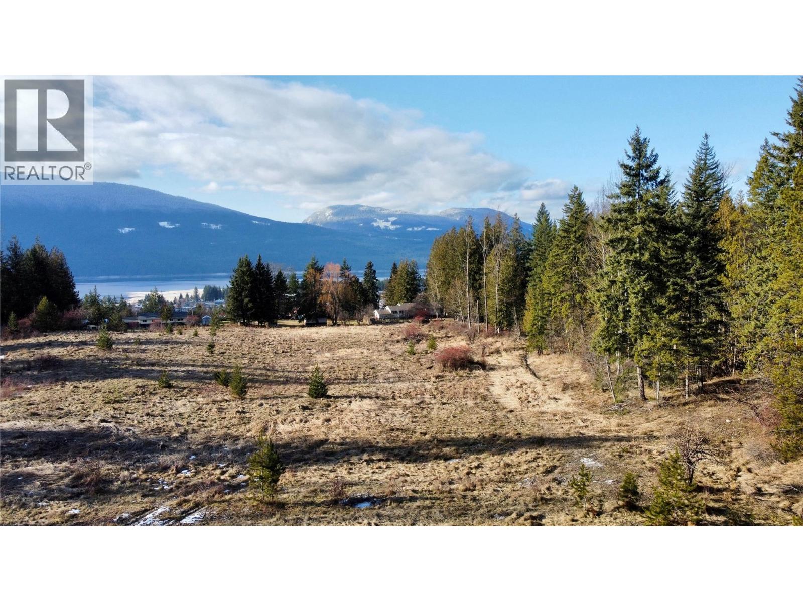 319 Nakusp East Road, Nakusp, British Columbia  V0G 1R1 - Photo 28 - 10373110