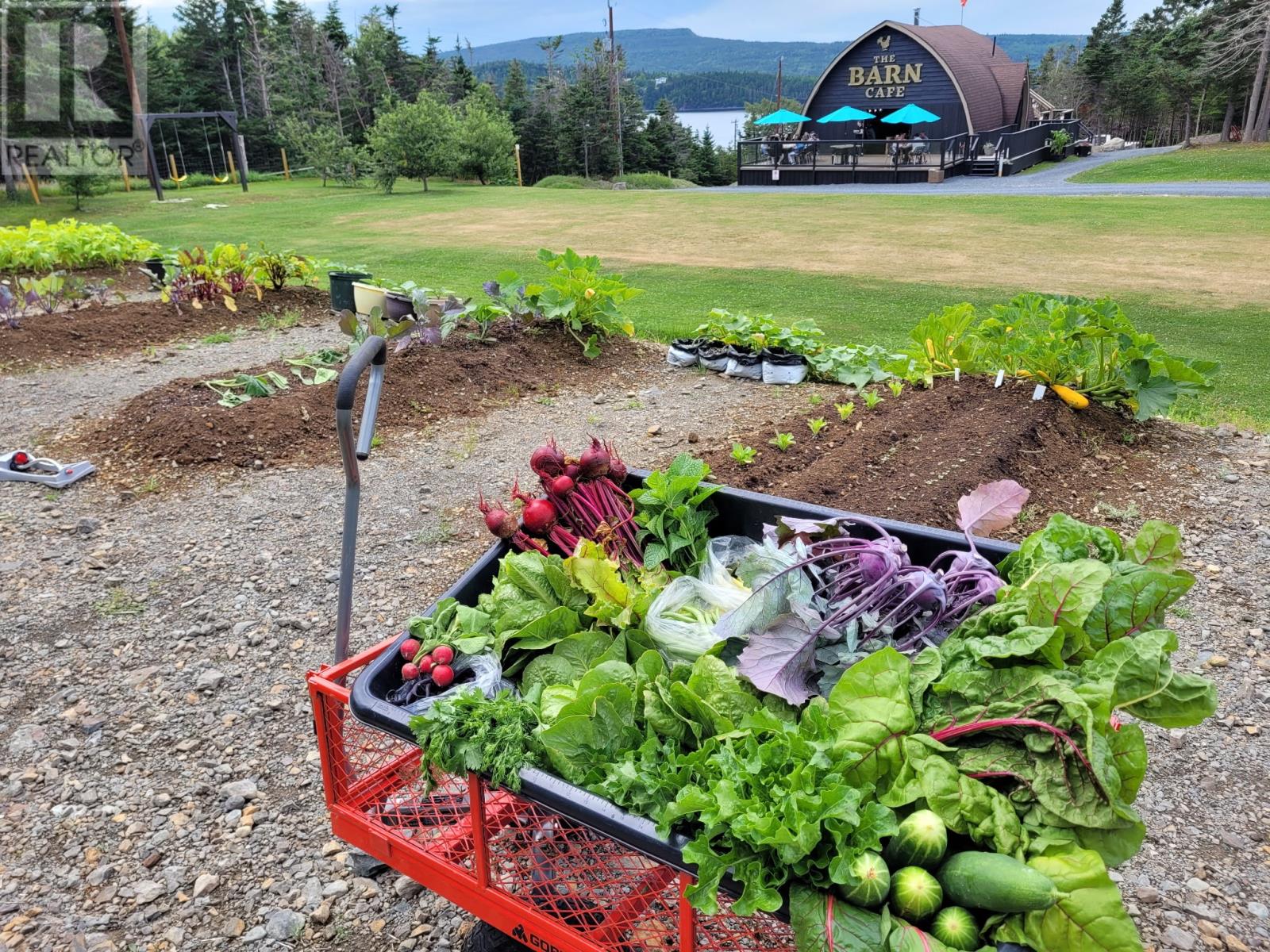 83 Main Road, South Dildo, Newfoundland & Labrador  A0B 1R0 - Photo 12 - 1294143