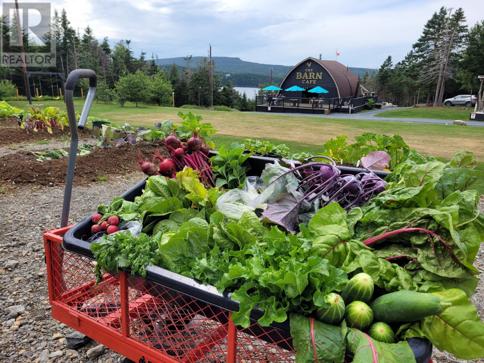 83 Main Road, South Dildo, Newfoundland & Labrador  A0B 1R0 - Photo 11 - 1294138