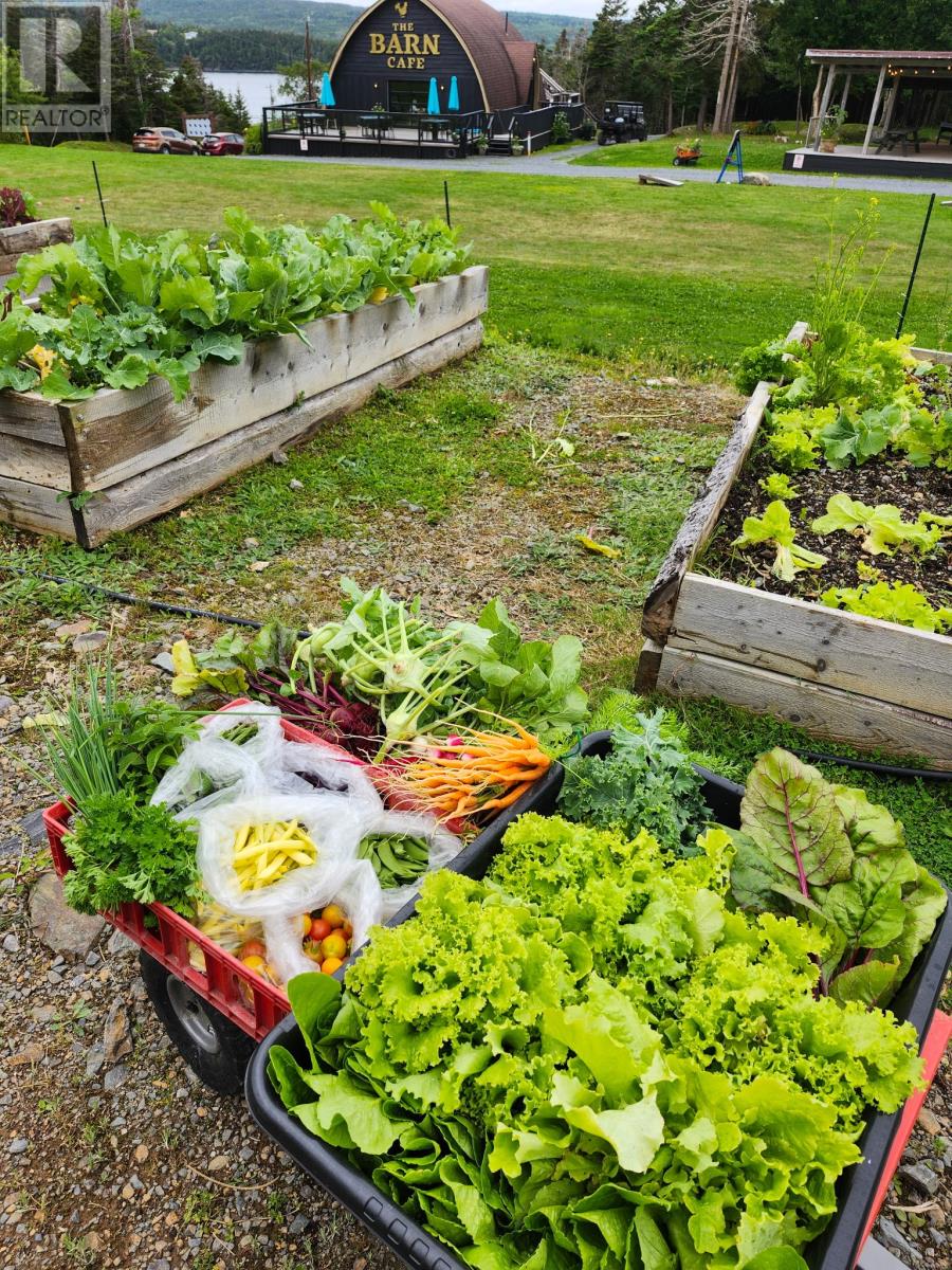 83 Main Road, South Dildo, Newfoundland & Labrador  A0B 1R0 - Photo 15 - 1294138