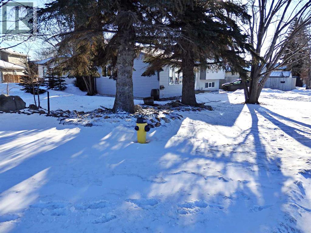 5943 51 Avenue, Vermilion, Alberta T9X 1X2 - Photo 33 - A2281040