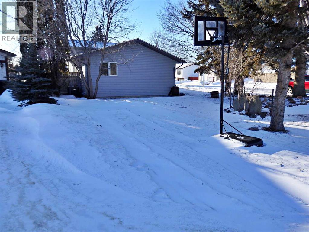 5943 51 Avenue, Vermilion, Alberta T9X 1X2 - Photo 3 - A2281040