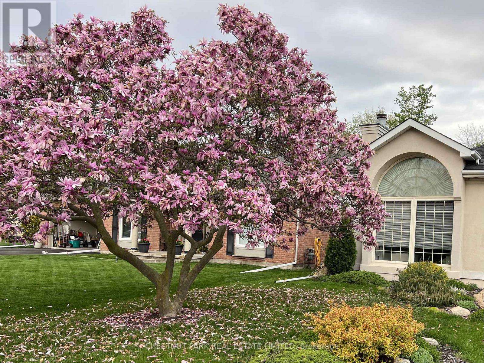 81 Francis Creek Boulevard, St. Catharines, Ontario  L2W 1B3 - Photo 40 - X12522188