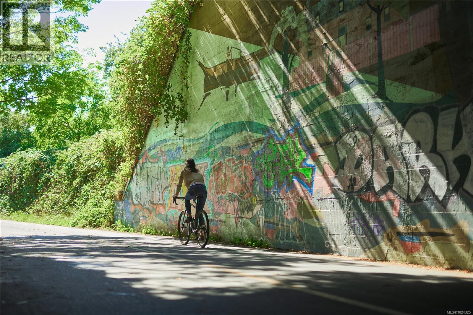 201 1075 Tillicum Rd, Esquimalt, British Columbia  V9A 2A4 - Photo 18 - 1024325