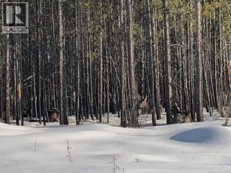 516 Forest Crowne Drive, Kimberley, British Columbia  V1A 0A4 - Photo 3 - 10373553