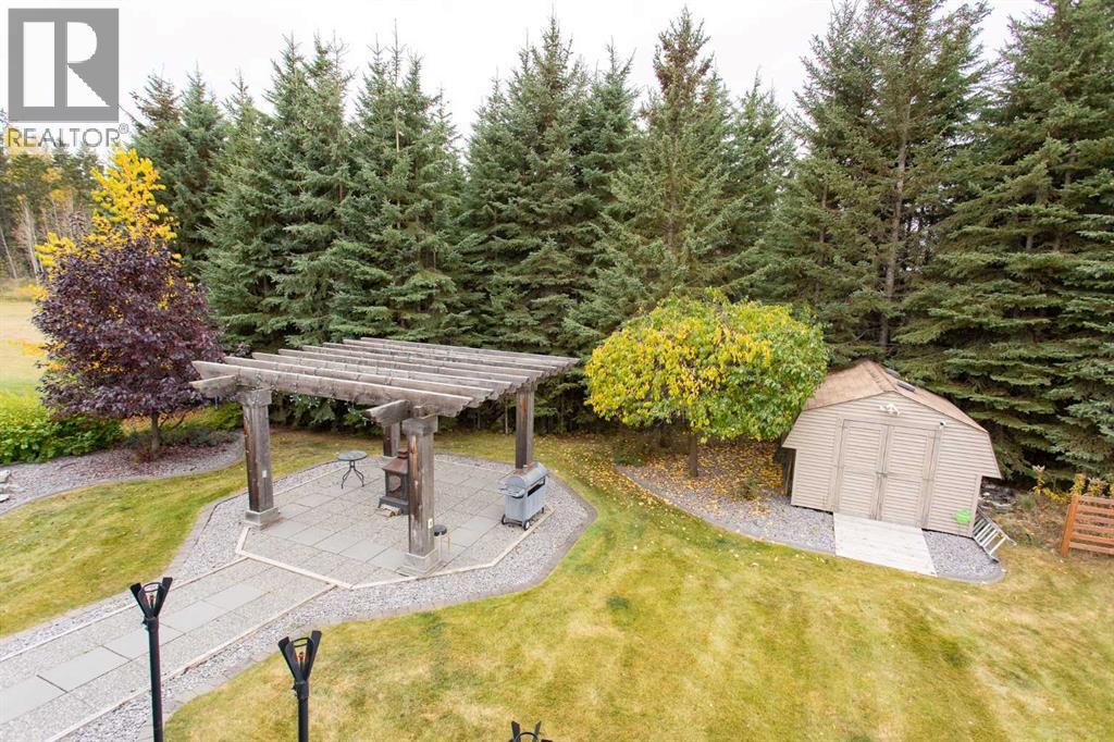 7206 61 Street, Rocky Mountain House, Alberta  T4T 0A3 - Photo 10 - A2262988