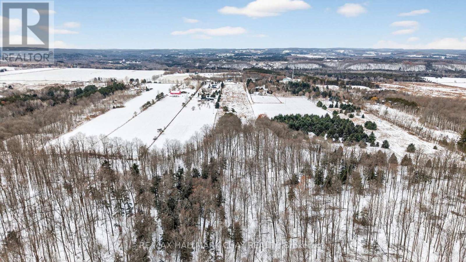 3005 Concession Rd 4, Adjala-Tosorontio, Ontario  L0G 1L0 - Photo 13 - N12593052