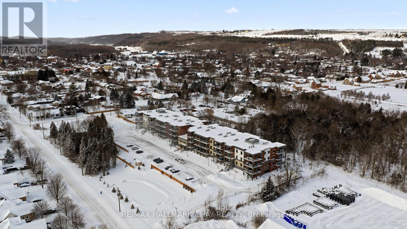 224 - 121 Mary Street, Clearview (Creemore), Ontario  L0M 1G0 - Photo 4 - S12733454