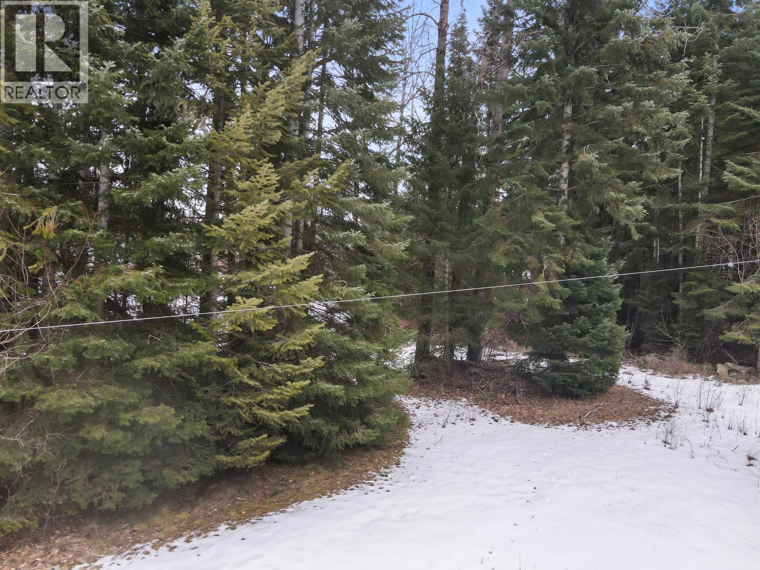 Kitchener Road Lot# 9,10,11&12, Kitchener, British Columbia  V0B 1W1 - Photo 8 - 10374018