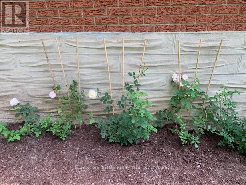 528 Greenbrook Drive, Kitchener, Ontario  N2M 4K6 - Photo 36 - X12732670