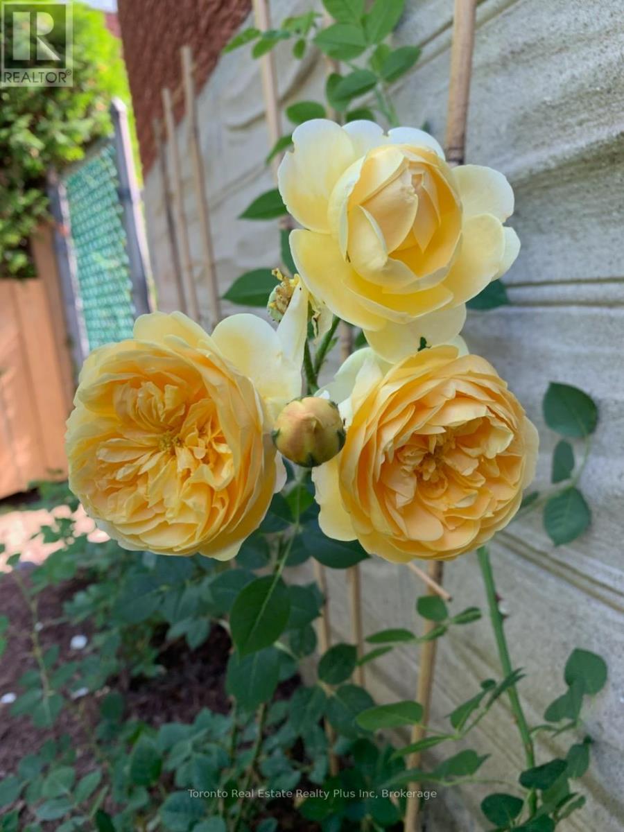 528 Greenbrook Drive, Kitchener, Ontario  N2M 4K6 - Photo 35 - X12732670