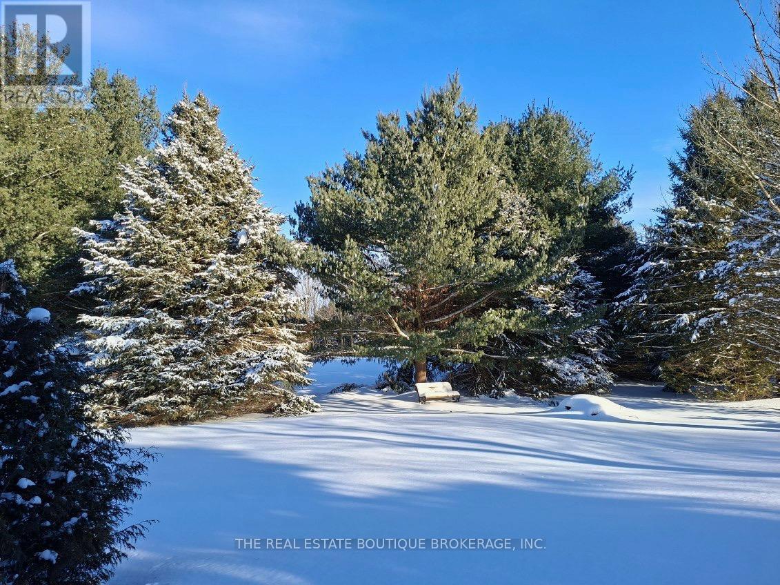 1966 Concession 2 W, Hamilton, Ontario L0R 1T0 - Photo 3 - X12444290