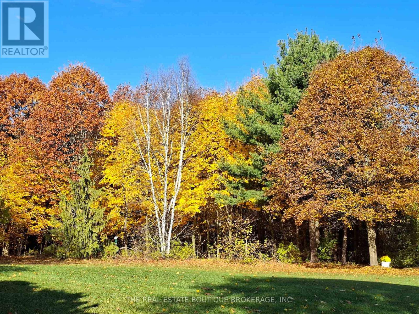 1966 Concession 2 W, Hamilton, Ontario L0R 1T0 - Photo 9 - X12444290