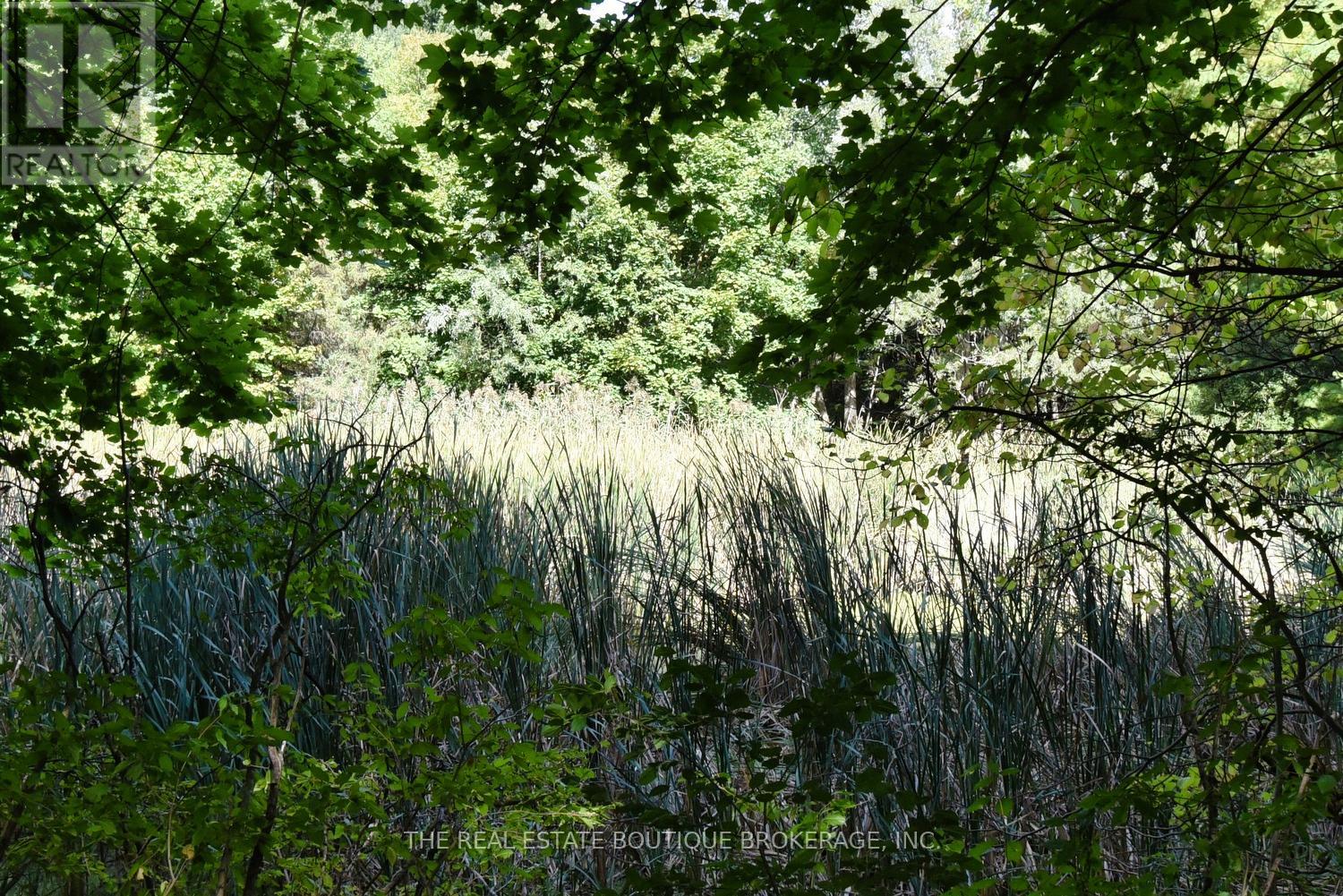 1966 Concession 2 W, Hamilton, Ontario L0R 1T0 - Photo 40 - X12444290