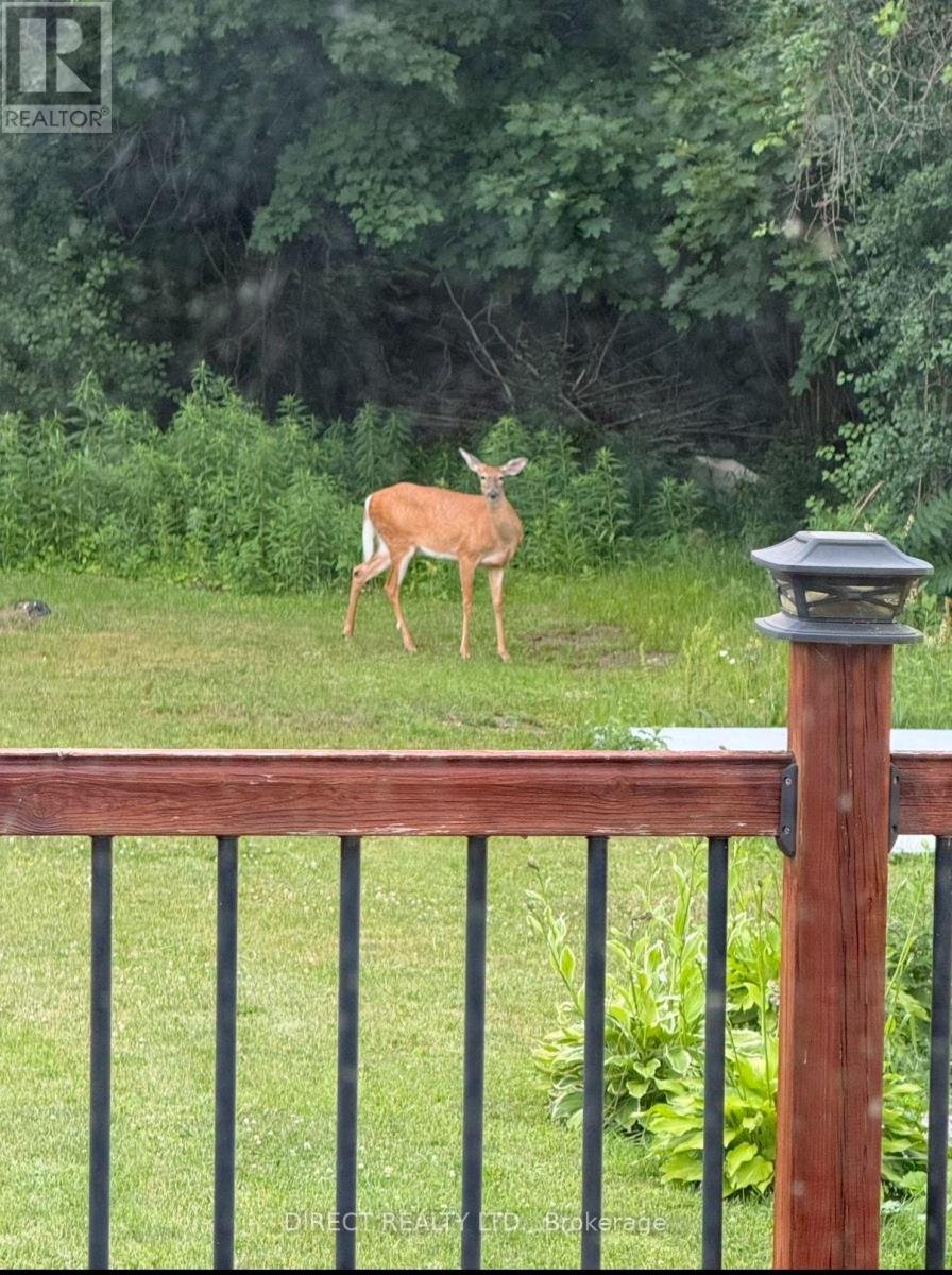 686 Trenton-Frankford Road, Quinte West, Ontario  K8V 5P6 - Photo 41 - X12732994