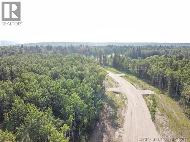 49, 704016 Range Road 70, Rural Grande Prairie No. 1, Alberta  T0H 3V0 - Photo 2 - A2099929