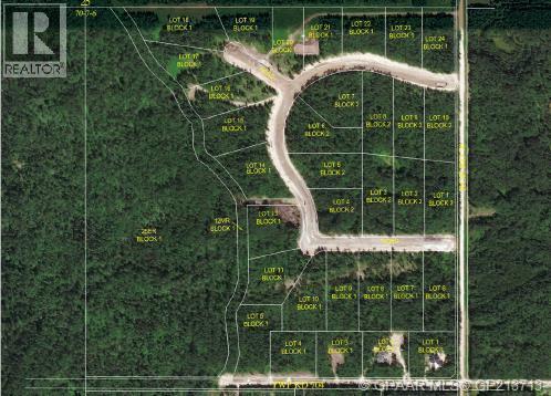 57, 704016 Range Road 70, Rural Grande Prairie No. 1, Alberta  T0H 3V0 - Photo 4 - A2099933