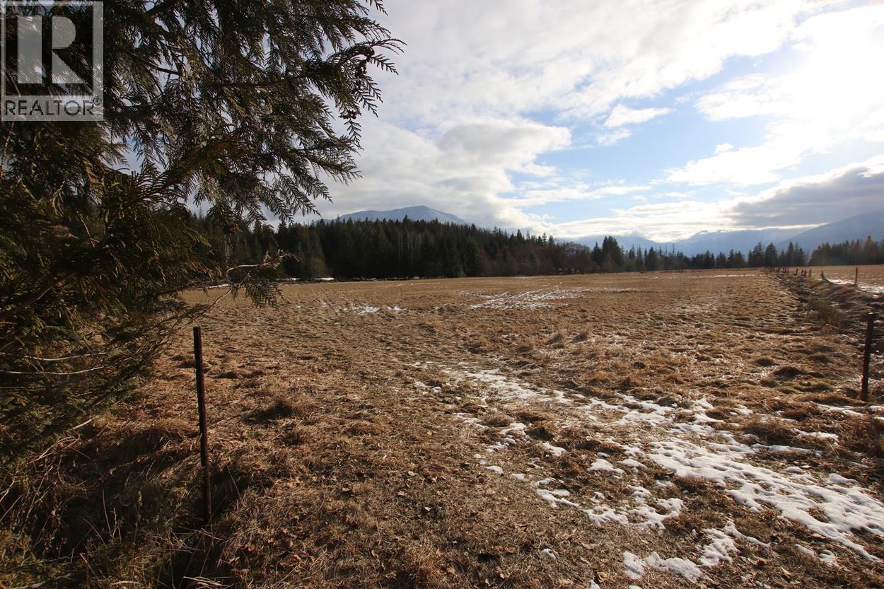 252 Church Hill Road, Nakusp, British Columbia  V0G 1R1 - Photo 31 - 10373156