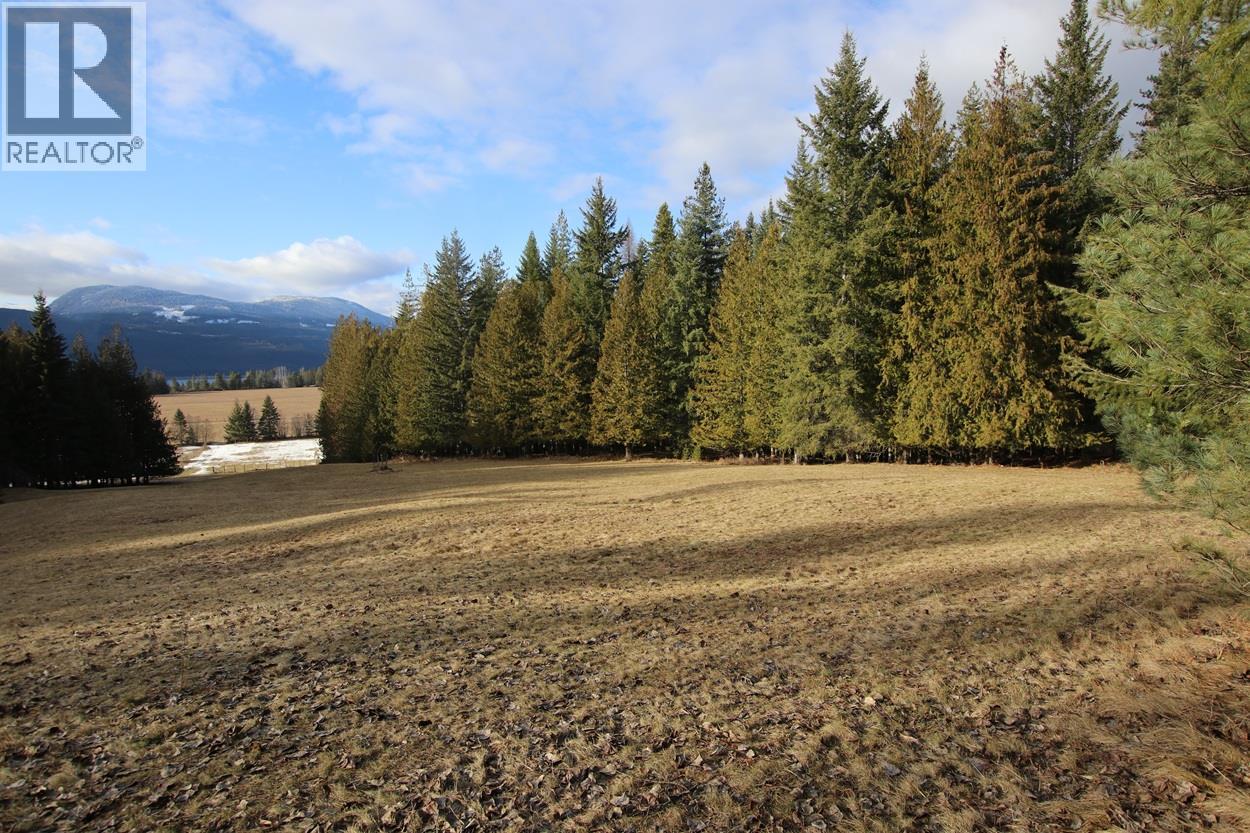 252 Church Hill Road, Nakusp, British Columbia  V0G 1R1 - Photo 27 - 10373156