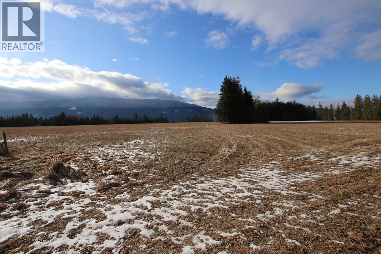 252 Church Hill Road, Nakusp, British Columbia  V0G 1R1 - Photo 30 - 10373156