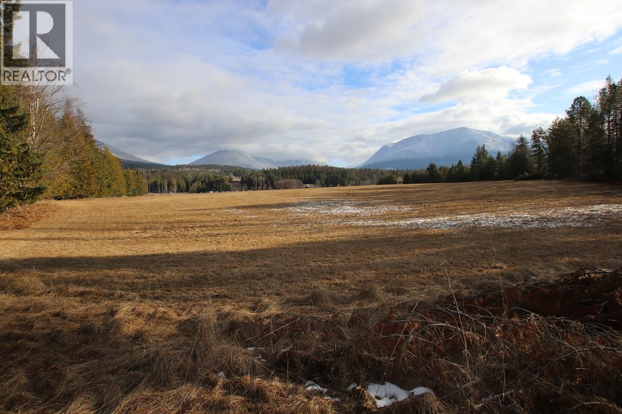 252 Church Hill Road, Nakusp, British Columbia  V0G 1R1 - Photo 34 - 10373156