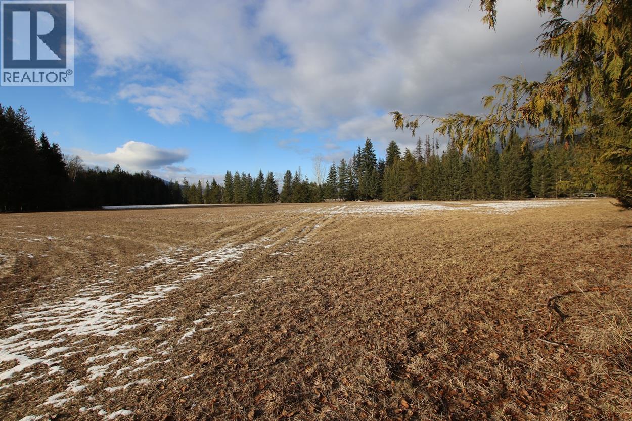 252 Church Hill Road, Nakusp, British Columbia  V0G 1R1 - Photo 29 - 10373156