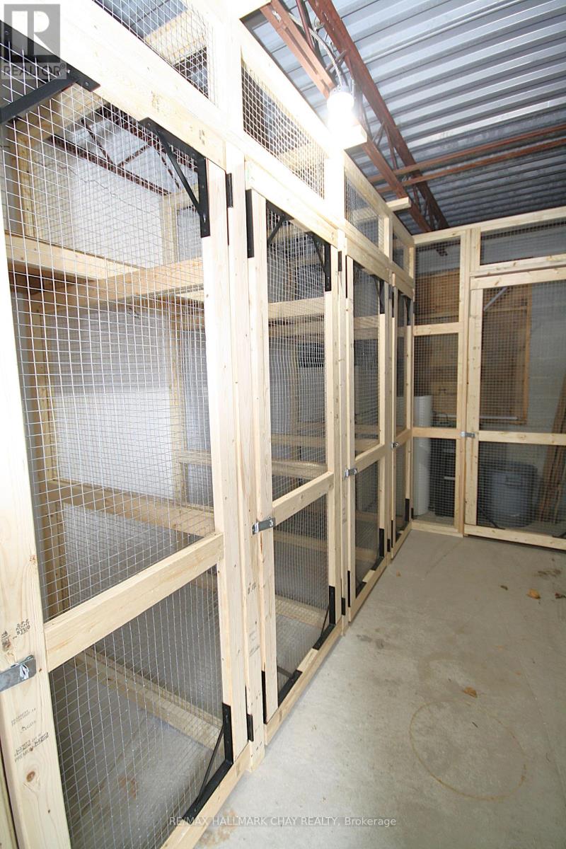 58 Queen St Street W, Springwater, Ontario  L0L 1P0 - Photo 17 - S12647072