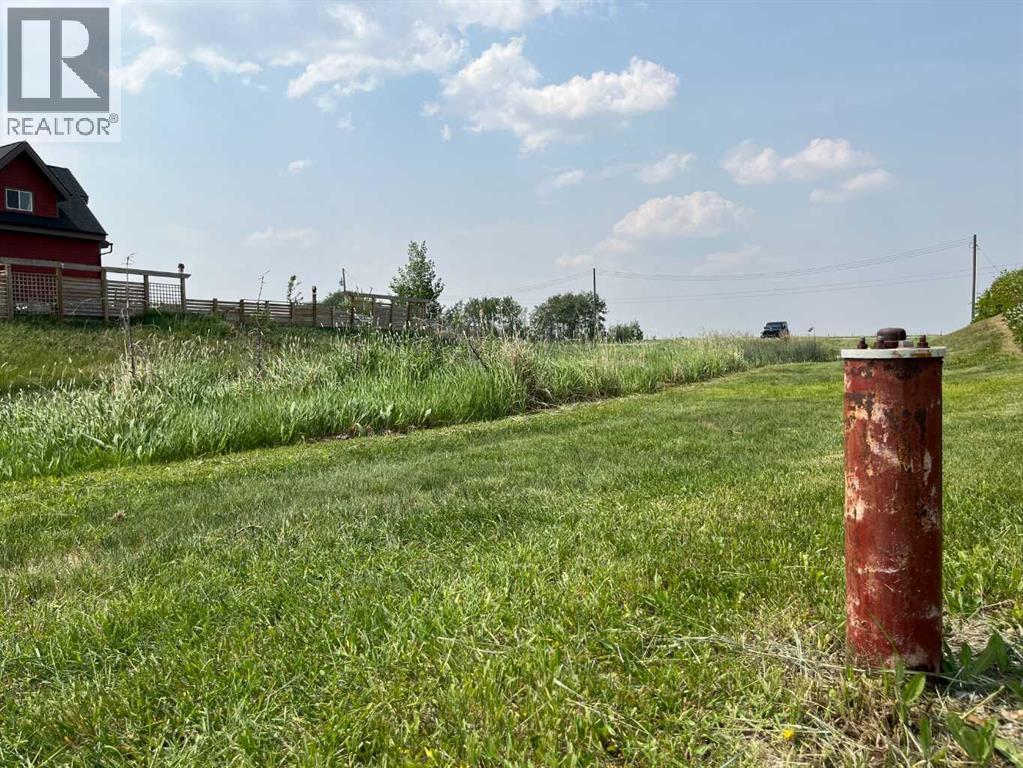 421 Railway, Cheadle, Alberta  T1P 0X8 - Photo 9 - A2280846