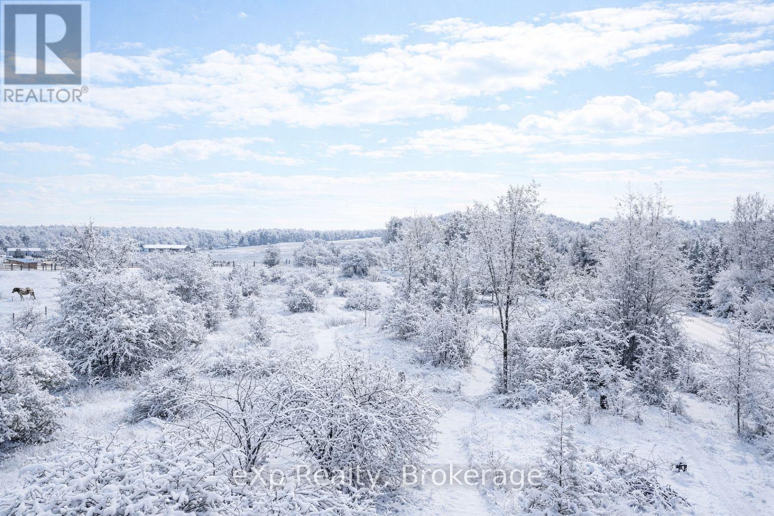 125 Lake Drive, West Grey, Ontario  N0C 1H0 - Photo 2 - X12376022