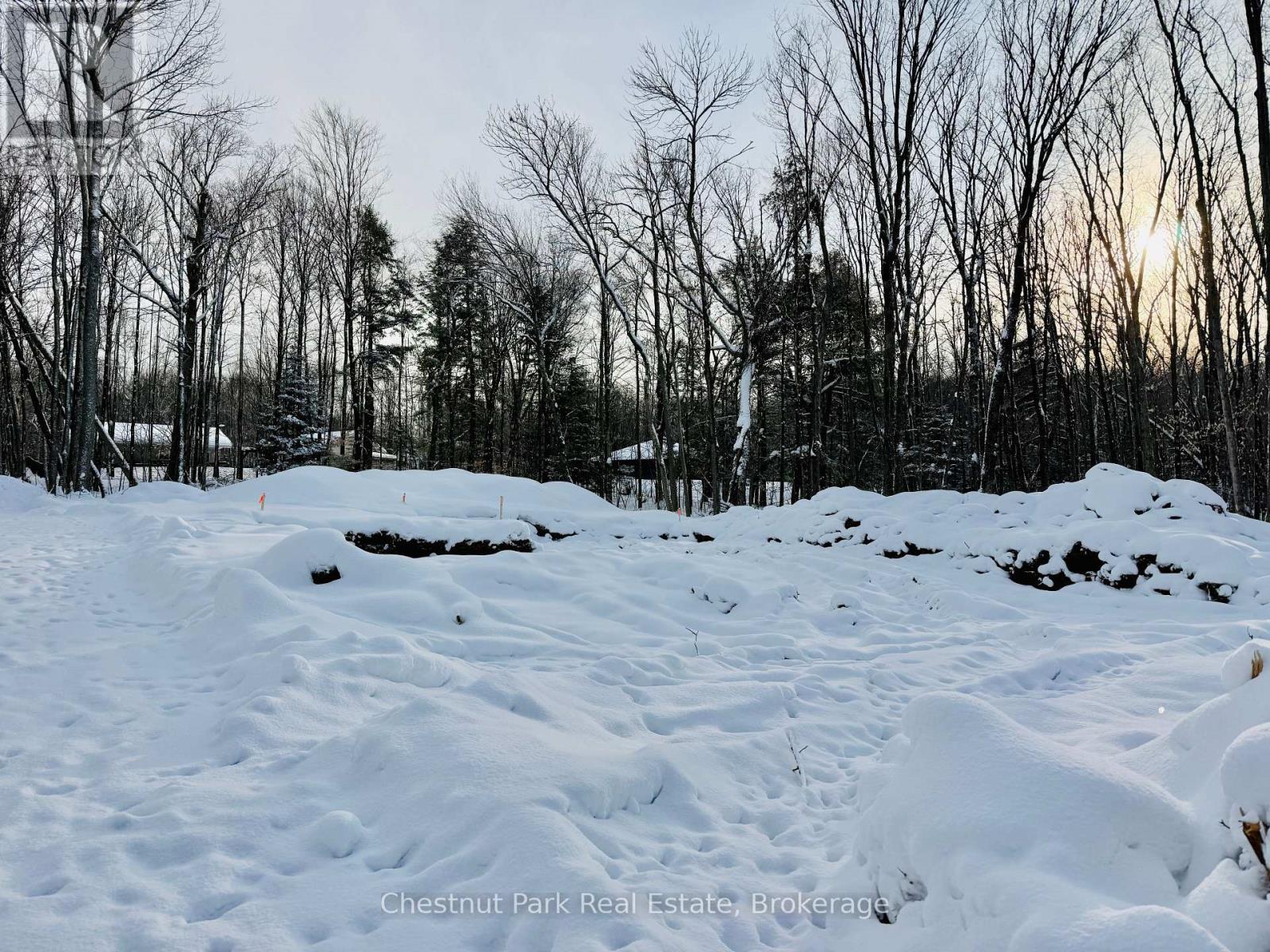 23 Maple Ridge Road, Nipissing, Ontario P0A 1Z0 - Photo 12 - X12732804