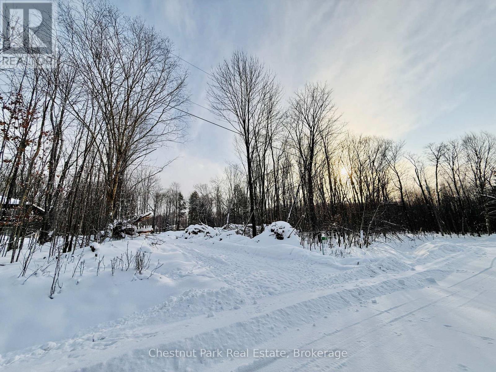 23 Maple Ridge Road, Nipissing, Ontario P0A 1Z0 - Photo 14 - X12732804