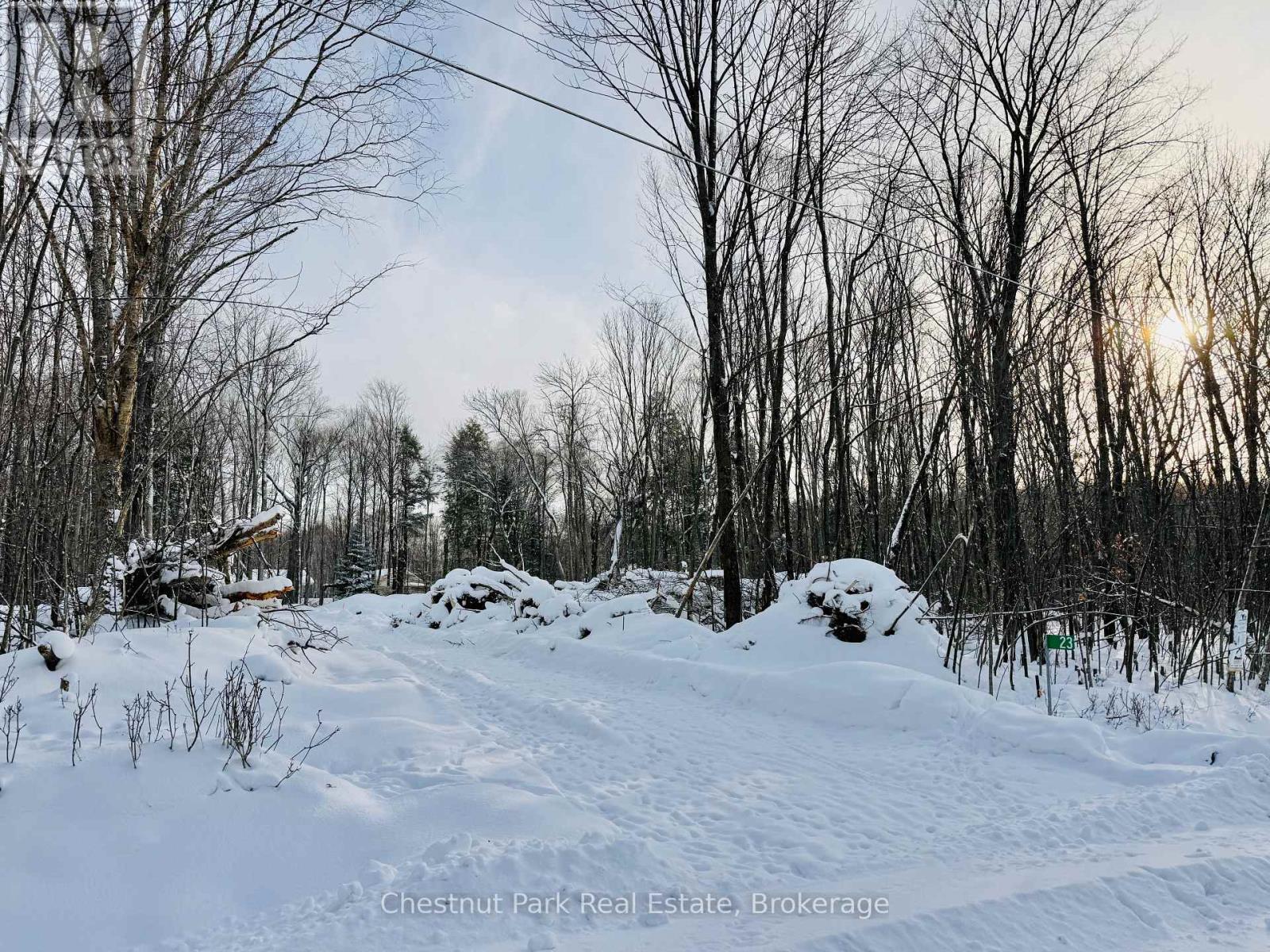 23 Maple Ridge Road, Nipissing, Ontario P0A 1Z0 - Photo 15 - X12732804